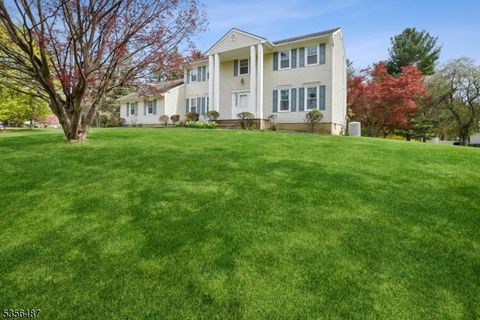 2 Powder Mill Rd Washington Twp. NJ 07853