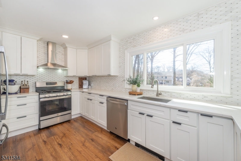 Morse Lakes - Residential