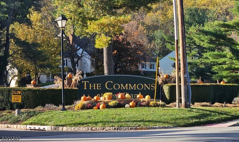 Mendham Commons - Residential