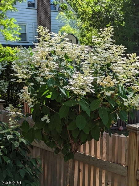 Wyoming - Residential