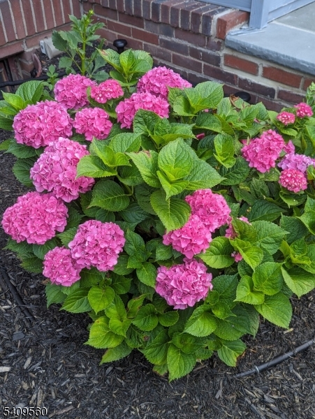 Wyoming - Residential