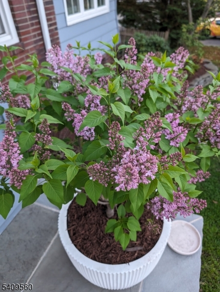 Wyoming - Residential