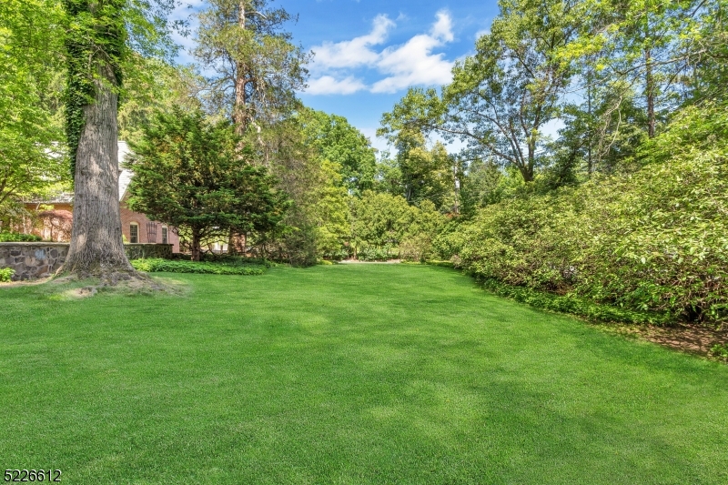 Old Short Hills - Residential