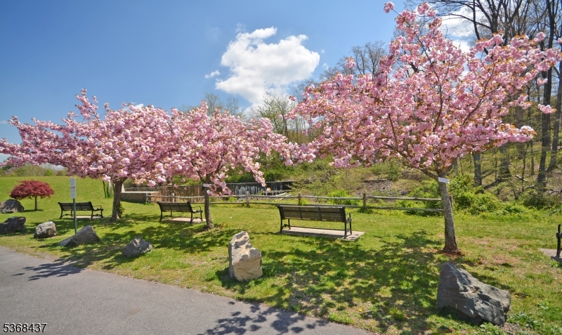 Lakeside Villas at Watchung - Residential