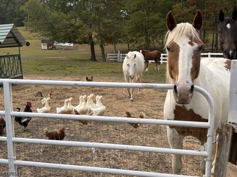 Historic Millville - Residential