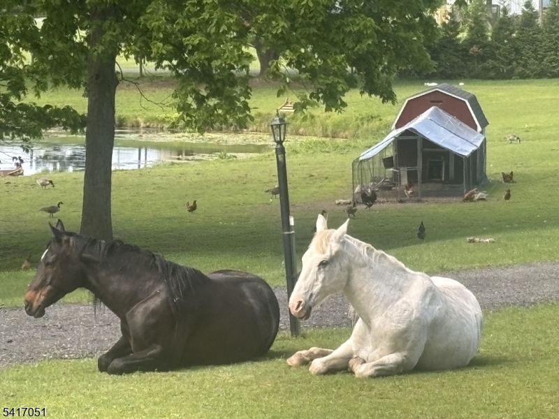 Historic Millville - Residential