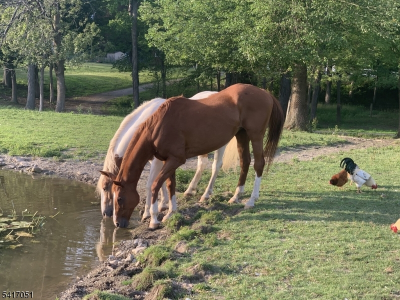 Historic Millville - Residential
