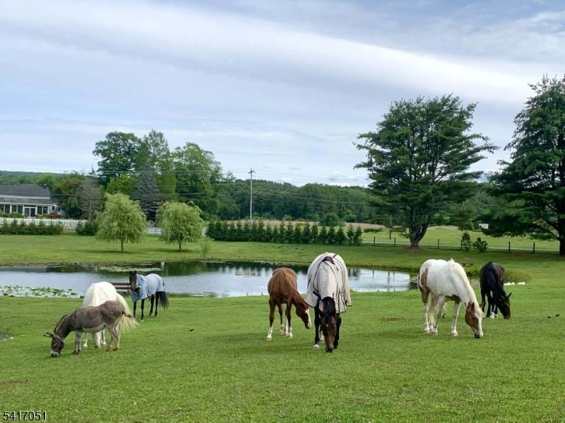 Historic Millville - Residential