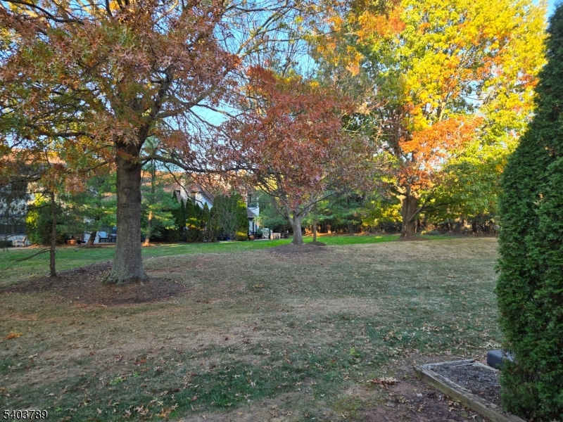 WEYEBRIDGE - Residential