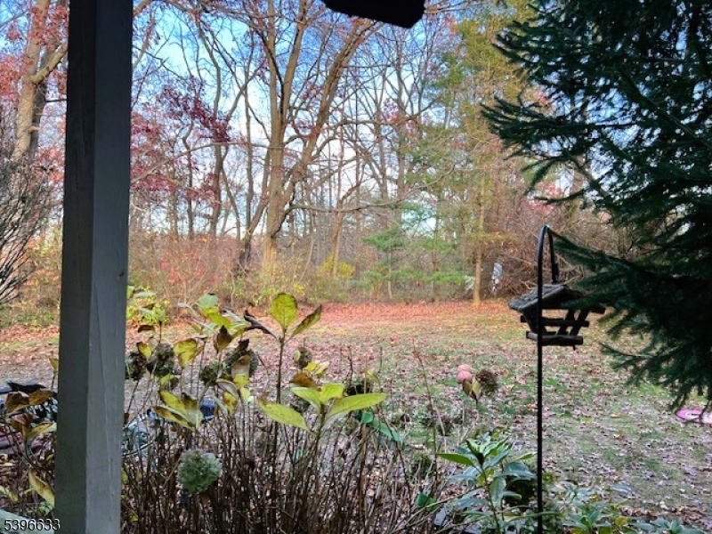 Timber Hollow - Residential