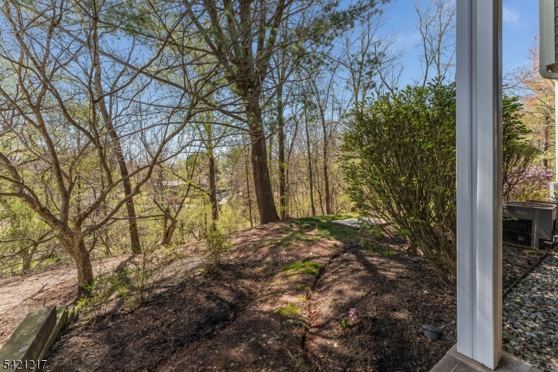 Beaver Brook - Residential