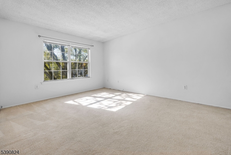 Beacon Hill - Residential