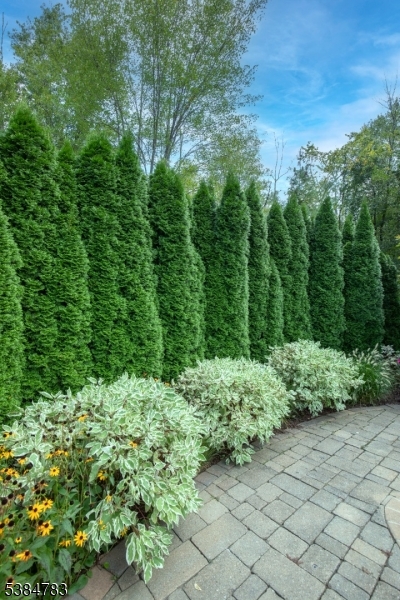 Liberty Corner - Residential