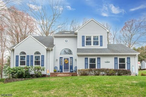 4 Lisa Ct, Roxbury Twp., NJ 07876 - #: 4020945