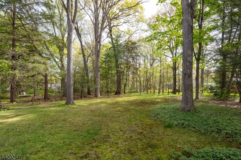 Whippany - Residential
