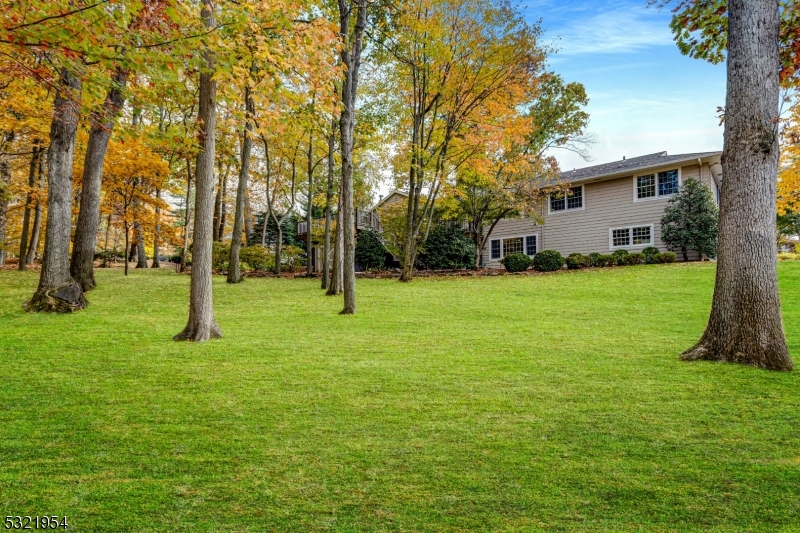 INDIAN FOREST - Residential