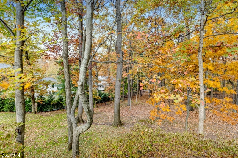 INDIAN FOREST - Residential