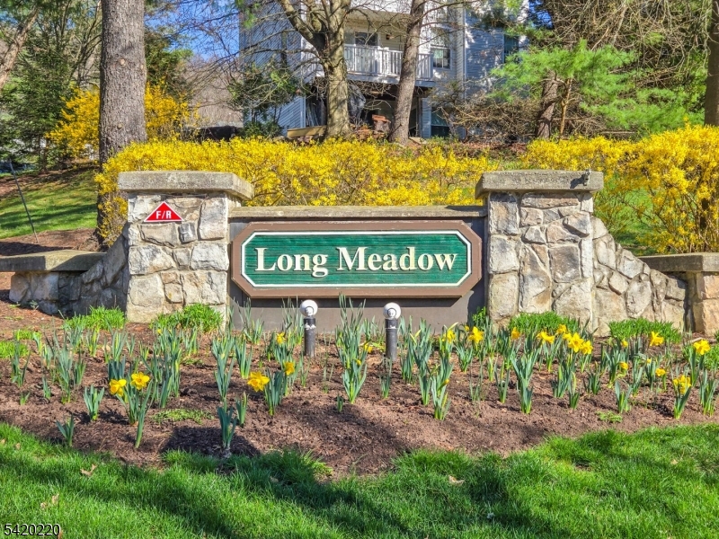 Long Meadow - Residential