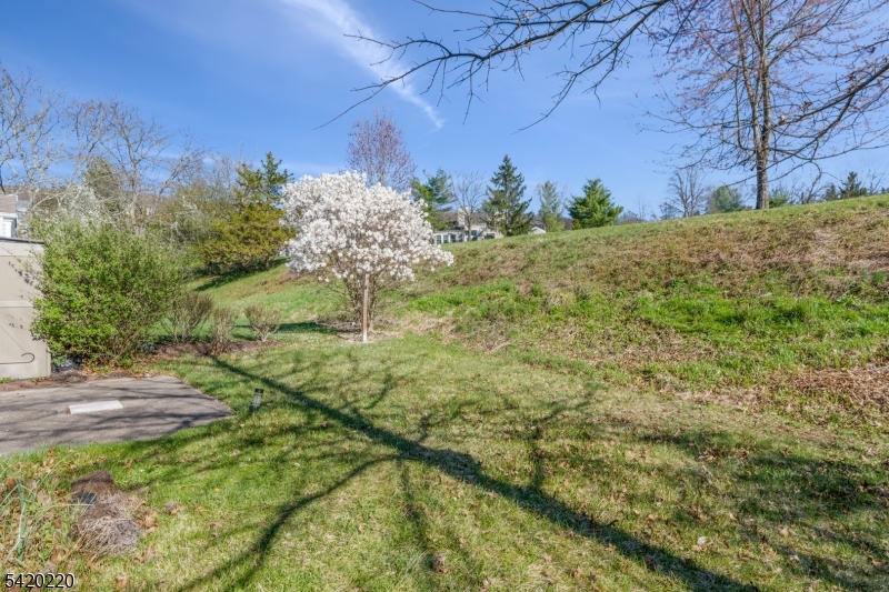 Long Meadow - Residential