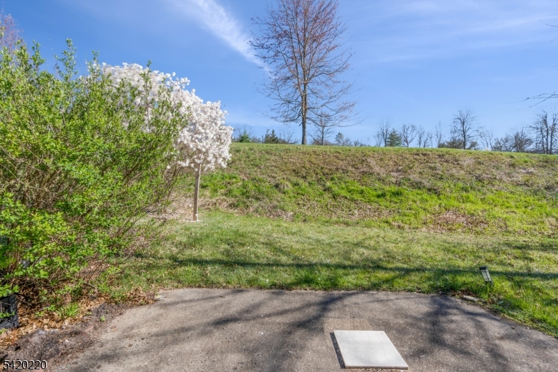 Long Meadow - Residential