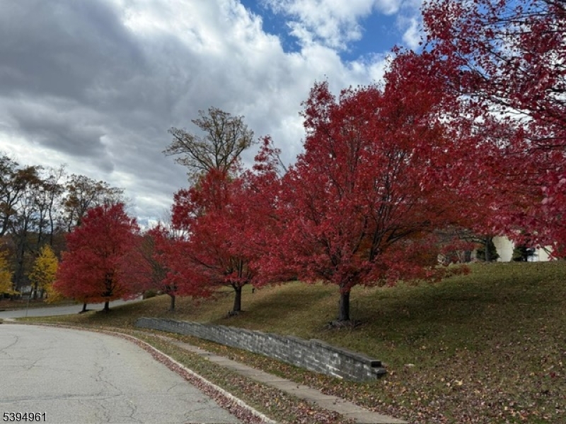 Fieldview - Residential