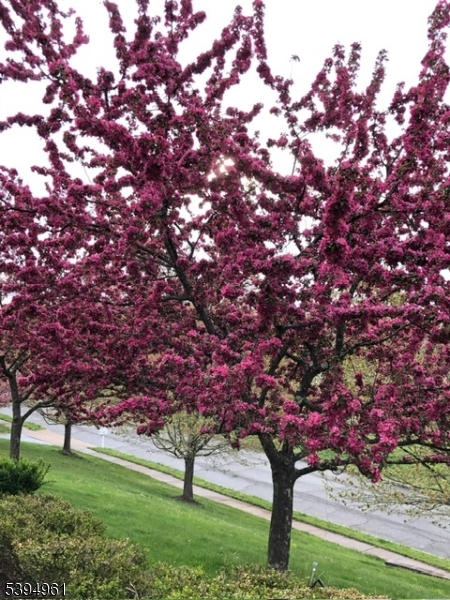 Fieldview - Residential