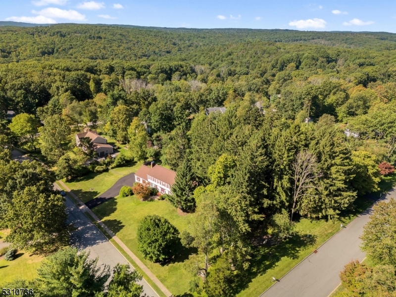 Bennington Woods - Residential