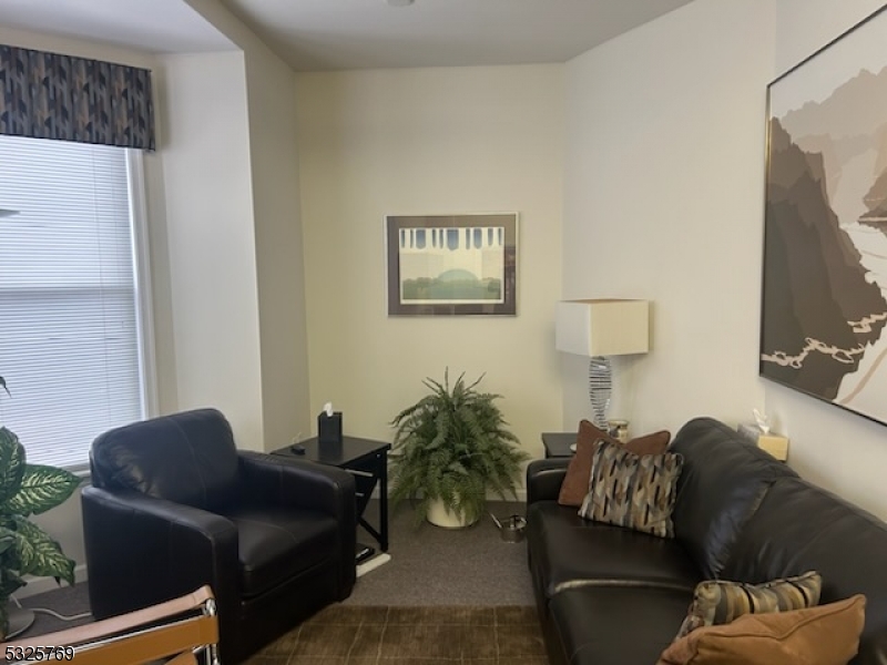 Somerville Boro, New Jersey 08876, United States, ,Residential,Active,30113