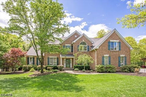 72 Kim Ln Washington Twp. NJ 07853