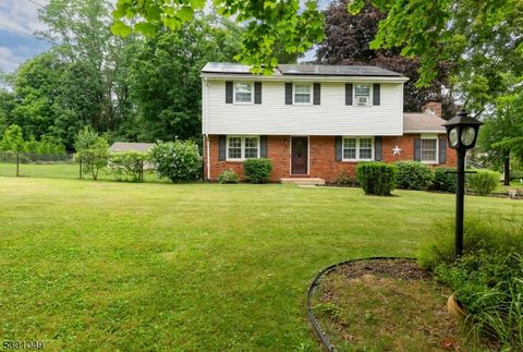 44 Ramar Street, Mount Olive Twp., NJ 07836 - #: 3914340