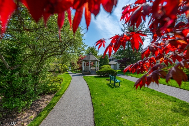 Scenic Hills - Residential