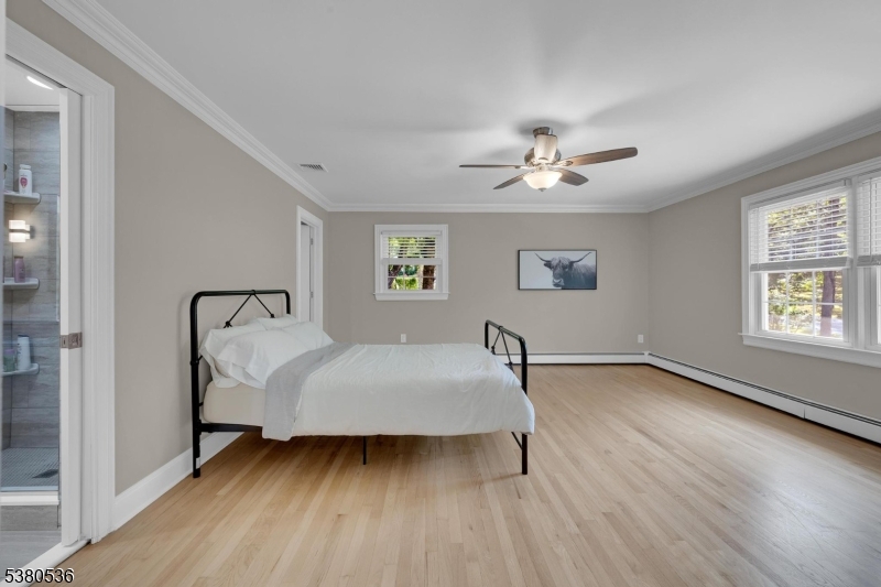 Neshanic - Residential