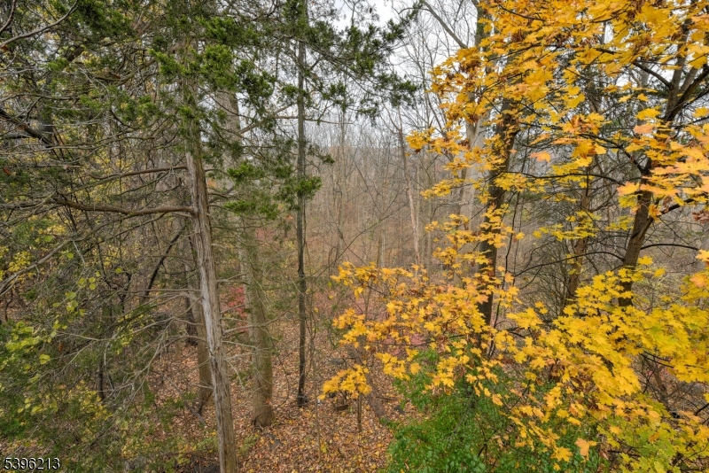 Great Gorge Village - Residential