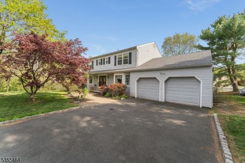 12 Shady Brook Ct Hillsborough Twp. NJ 08844