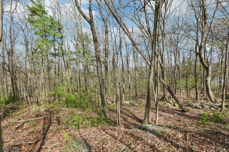 HIghland Lakes Country Club - Land