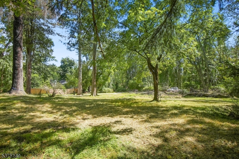 Whitehouse Station - Residential