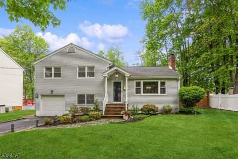 20 Hampton Ter Livingston Twp. NJ 07039