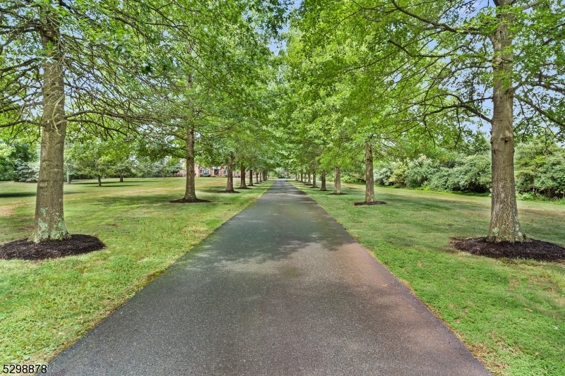 Far Hills/Roxiticus Valley - Residential