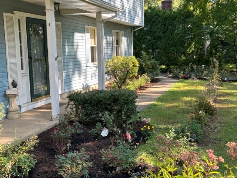 241 Morris Ave