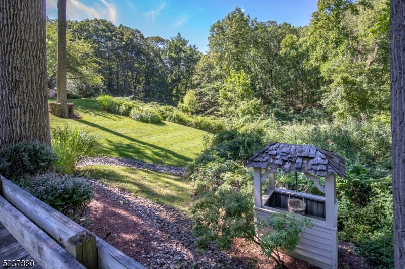 Bernardsville Mountain - Residential
