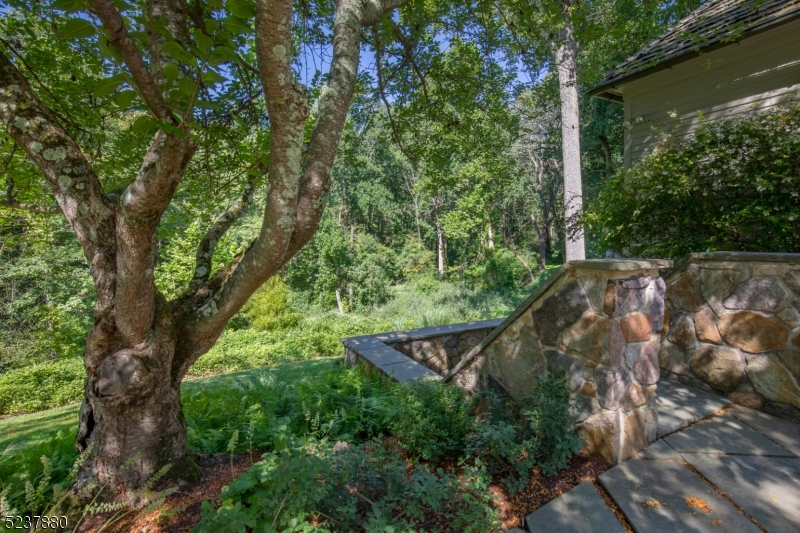 Bernardsville Mountain - Residential