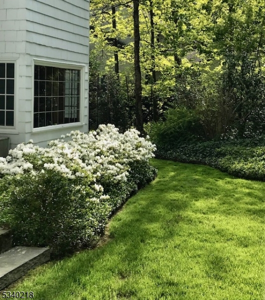 OLD SHORT HILLS - Residential