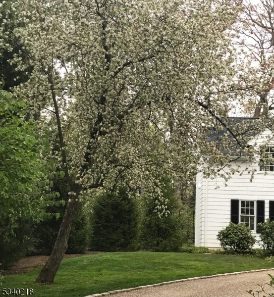 OLD SHORT HILLS - Residential