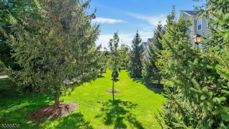 Essex Park - Residential