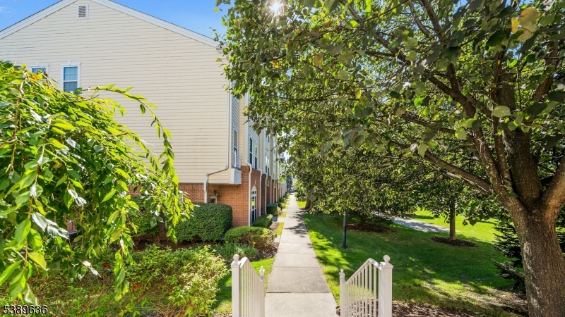 Essex Park - Residential