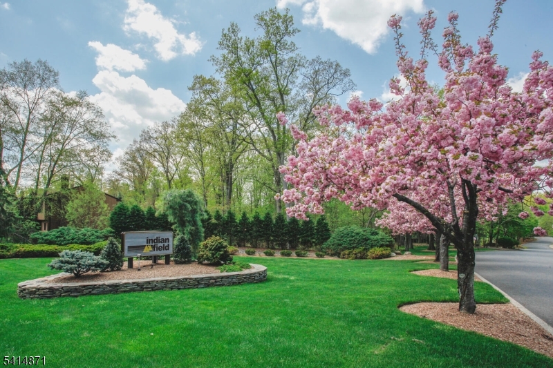 INDIAN FIELD - Residential