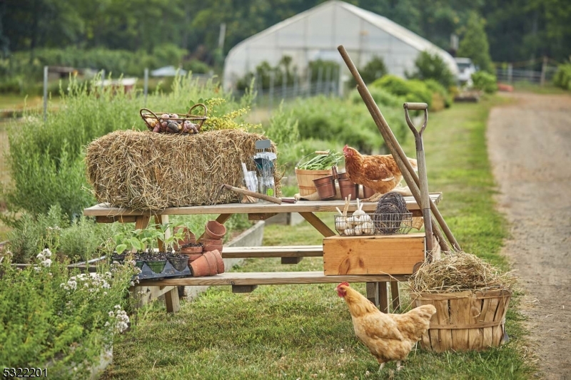 Pendry Residences Natirar - Residential