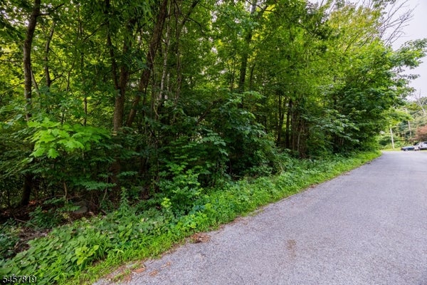 38 EVERGREEN TRL, VERNON, NJ 07462 - Image 6fe3cb66f2856652c7ea18c09a2b05b4/717690046