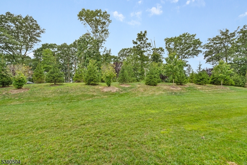 Mountain Ridge Estates - Residential Lease