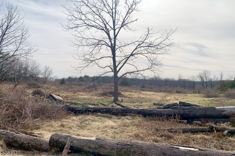 Bonetown - Residential